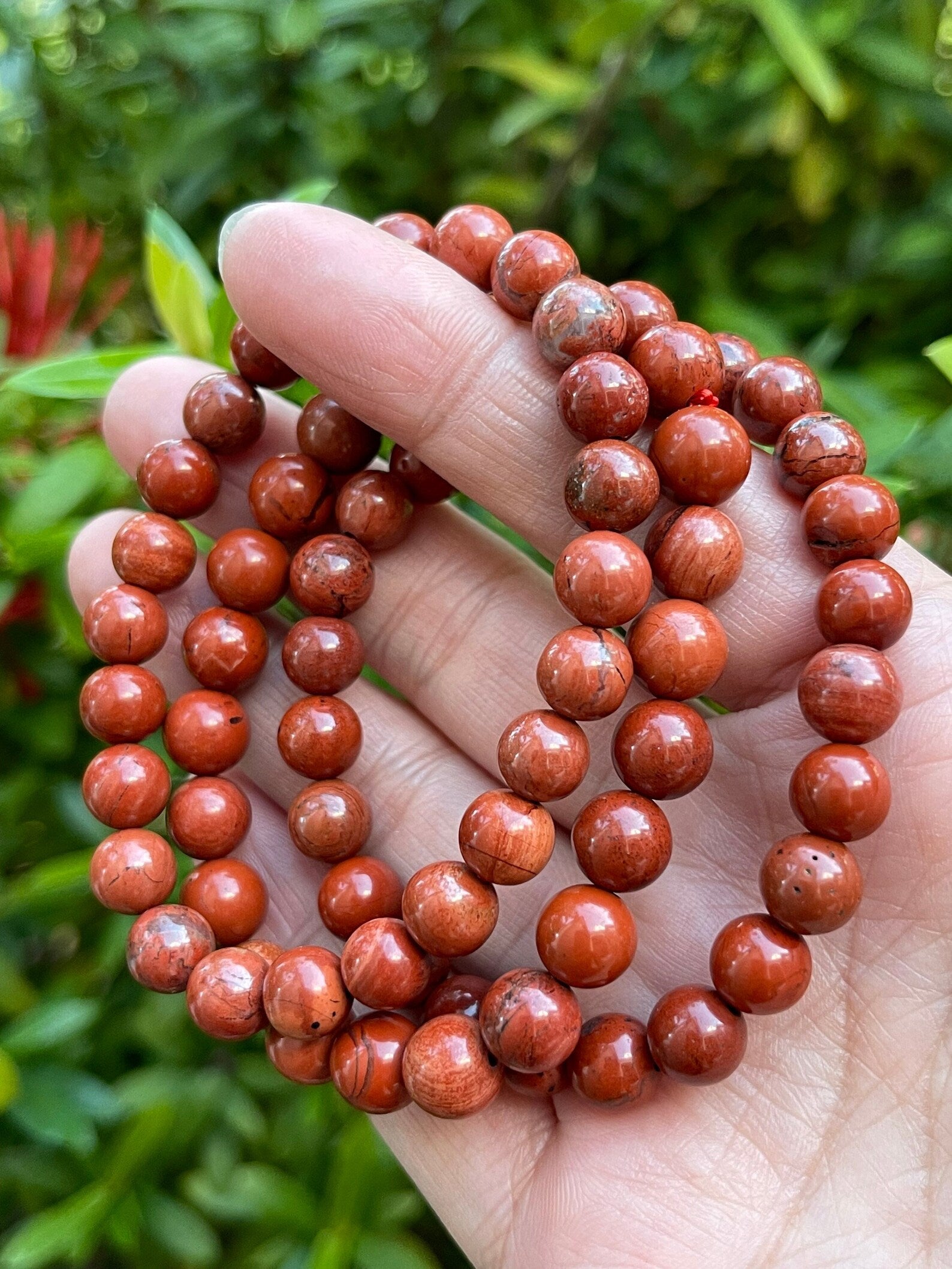 Wishing Bowl's RED JASPER Bracelet - Qty 1 | Healed by Dr Shalini – Brown &  White Nutraceuticals - Managed by World's leading Naturopath